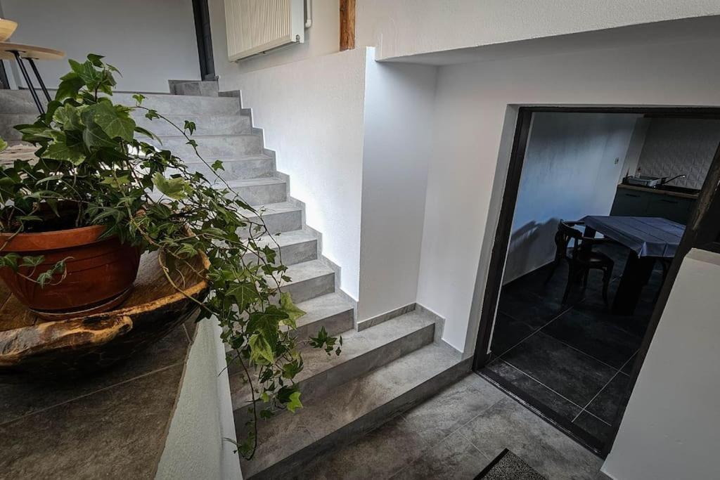 Chalet Dor De Munte Predeal Ngoại thất bức ảnh